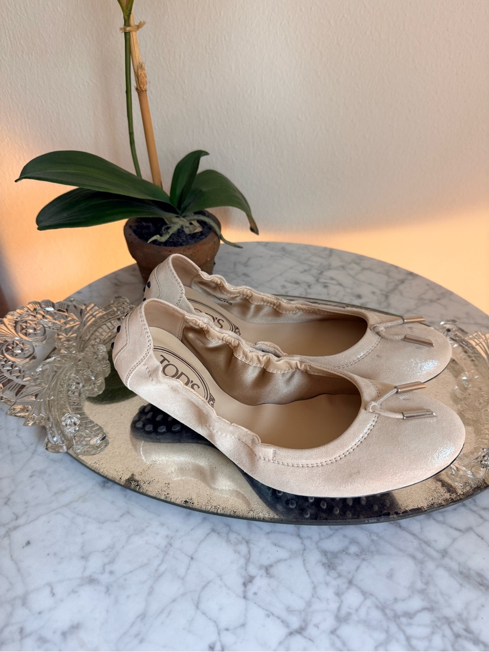 Tod's Light Beige Ballet Flats with Elasticized Trim